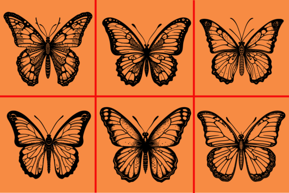 Butterfly Vector Art Illustration